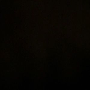 Meet your Posher, Kendall